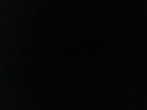 Meet your Posher, Jayden